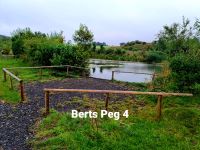 Bert's pool peg 4