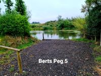Bert's pool peg 5