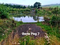 Bert's pool peg 7