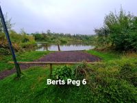 Bert's pool peg 6