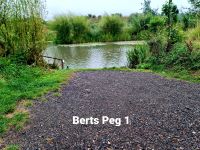 Bert's pool peg 1
