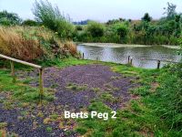 Bert's pool peg 2