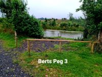 Bert's pool peg 3