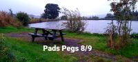 Pad peg 8/9
