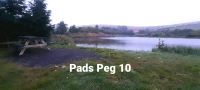 Pad peg 10