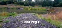 Pad peg 1